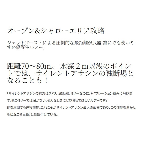 EXSENCE　サイレントアサシン　129S　AR－C